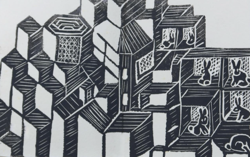 Fuyez ces Cages à Lapin